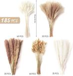 185 brins de fleurs séchées naturelles | herbe de pampa, Maison & Meubles, Accessoires pour la Maison | Fleurs séchées, Neuf, -