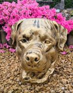 Polyester honden kop rottweiler, Ophalen of Verzenden, Nieuw, Kunststof, Dierenbeeld