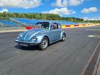 Volkswagen kever Weltmeister editie, Auto's, Achterwielaandrijving, Beetle (Kever), 4 cilinders, Blauw