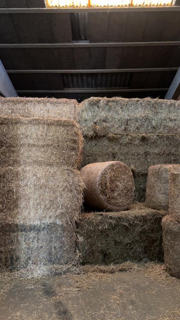 Grote balen weidehooi, Dieren en Toebehoren, Dierenvoeding, Ophalen