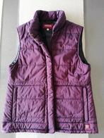 Mooie bodywarmer dames, merk Birgini, kleur bordeaux,maat 40, Kleding | Dames, Bodywarmers, Ophalen of Verzenden, Zo goed als nieuw