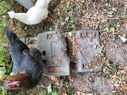 Bouwhekvoet werfhekvoet, Doe-het-zelf en Bouw, Steigers, Ophalen