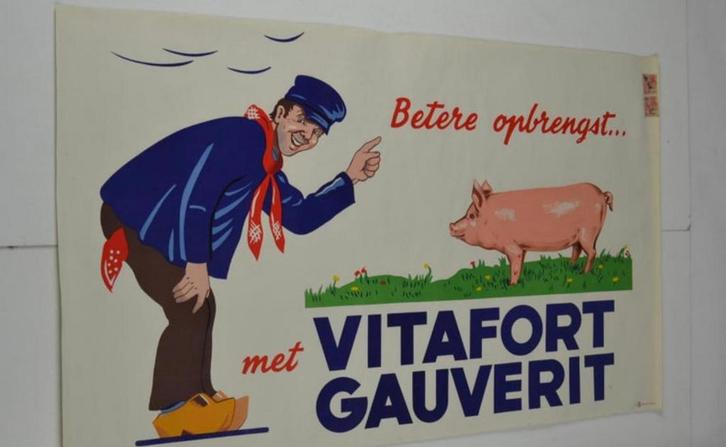 Lithografische affiche Vitafort Gauverit reclame poster, Verzamelen, Merken en Reclamevoorwerpen, Zo goed als nieuw, Reclamebord
