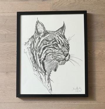 BELGISCHE Kunst genummerde Litho Dewinter LYNX grotten Han beschikbaar voor biedingen