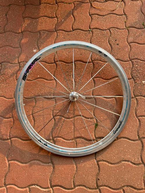 Roue avant campagnolo shamal colnago, Fietsen en Brommers, Fietsonderdelen, Gebruikt, Oldtimer, Wiel, Ophalen