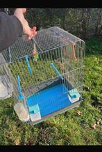 Vogelkooi, Ophalen, Zo goed als nieuw, Vogelkooi