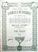 Lukolela-Plantations (Belgisch Congo) 1961, Timbres & Monnaies, Actions & Titres, Action, Enlèvement ou Envoi, 1950 à 1970