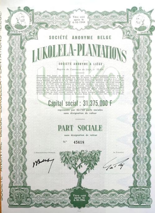 Lukolela-Plantations (Belgisch Congo) 1961, Timbres & Monnaies, Actions & Titres, Action, 1950 à 1970, Enlèvement ou Envoi