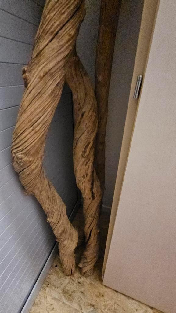 Grote decoratieve lianen, Huis en Inrichting, Overige Huis en Inrichting, Zo goed als nieuw, Ophalen