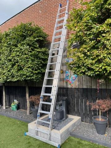 Alumex Professionele 3x14 Schuifladder (ZGAN) beschikbaar voor biedingen