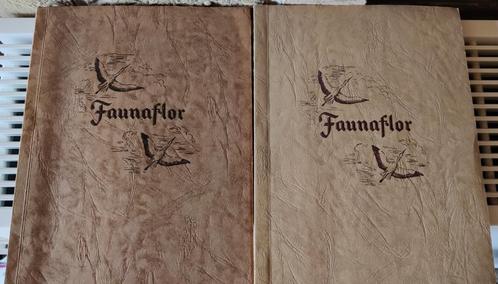 Faunaflor I en II, Boeken, Prentenboeken en Plaatjesalbums, Zo goed als nieuw, Prentenboek, Ophalen of Verzenden