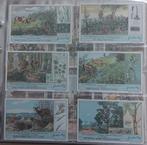 Liebig "zelfverdediging der planten tegen de panteneters", Enlèvement ou Envoi, Comme neuf, Nature, Gravure