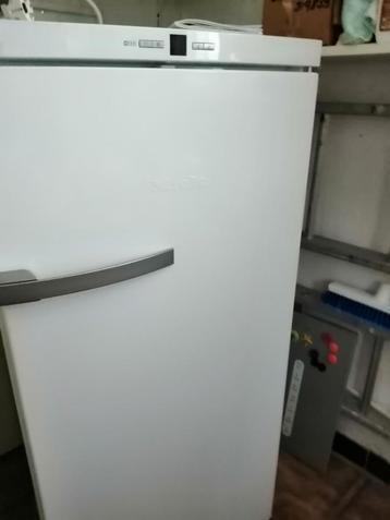 Diepvries staand.  4 Schuiven. No Frost, Elektronische apparatuur, Ophalen