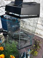 Aquarium hexagonal 30L complet, Enlèvement, Utilisé, Aquarium vide