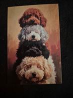 Postkaart poedels, Verzamelen, Postkaarten | Dieren, Ophalen of Verzenden