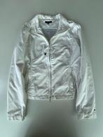 Jas/Regenjas/Windjas Tommy Hilfiger, Ophalen of Verzenden