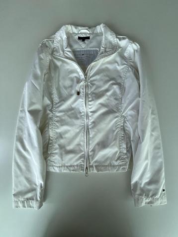 Jas/Regenjas/Windjas Tommy Hilfiger beschikbaar voor biedingen