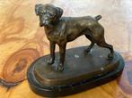 Bronzen beeldje Boxer hond, Antiek en Kunst, Ophalen of Verzenden
