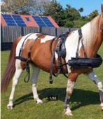 Harnais pour chevaux pour E-pony et modèles plus grands, Utilisé, Enlèvement ou Envoi, Récréation
