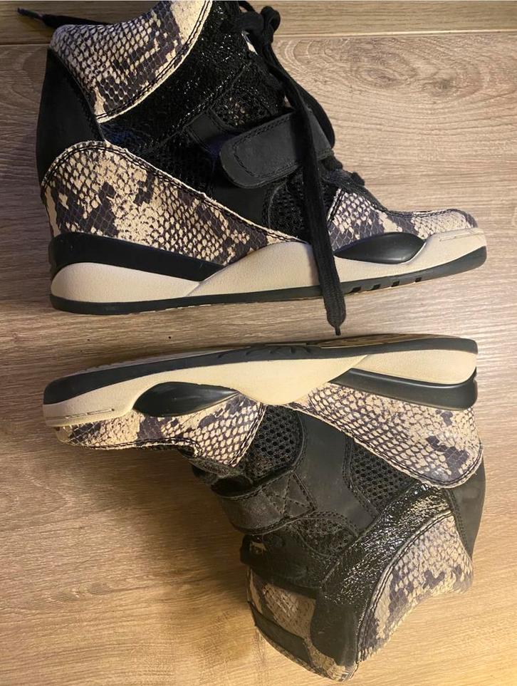 ASH Funky Python print - Maat 41 - Limited edition, Kleding | Dames, Schoenen, Zo goed als nieuw, Sneakers, Ophalen of Verzenden
