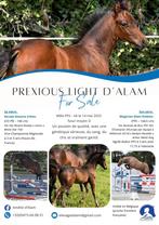 𝗣𝗿𝗲𝘅𝗶𝗼𝘂𝘀 𝗟𝗶𝗴𝗵𝘁 𝗱’𝗔𝗹𝗮𝗺, Animaux & Accessoires, Enlèvement, Neuf