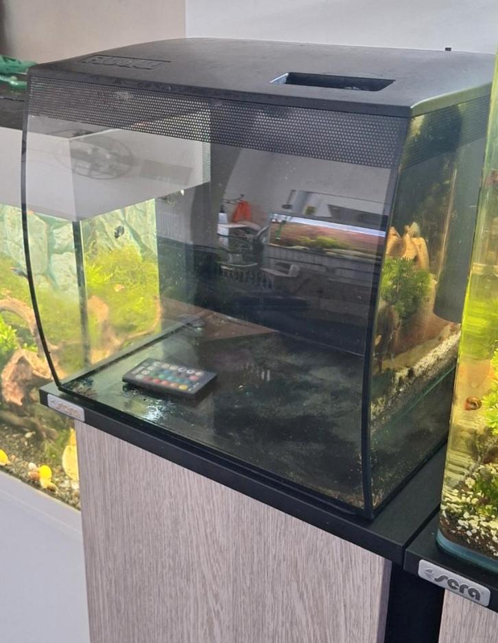 Fluval nano aquarium 34l, Animaux & Accessoires, Poissons | Aquariums & Accessoires, Enlèvement ou Envoi