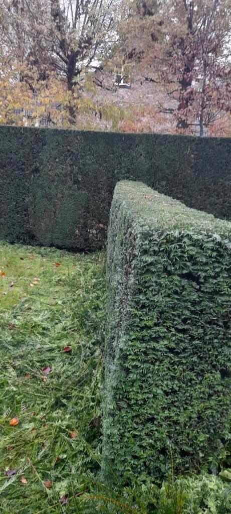 Tuinman gezocht?, Tuin en Terras, Gaas en Draad, Ophalen