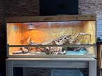 Terrarium OSB 150/60/70, Ophalen of Verzenden, Zo goed als nieuw