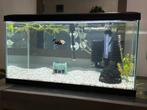 Aquarium, Dieren en Toebehoren, Ophalen, Zo goed als nieuw, Leeg aquarium