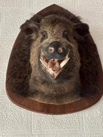 Everzwijn opgezet, Antiek en Kunst, Ophalen