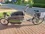 Elektrische bakfiets gazelle cabby, Fietsen en Brommers, Fietsen | Bakfietsen, Ophalen, Gebruikt, Elektrisch, 2 kinderen