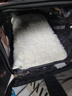 Draagtas hond of kat, Ophalen, Gebruikt