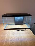 Aquarium 60L. Met temp regeling., Dieren en Toebehoren, Ophalen, Gebruikt, Leeg aquarium