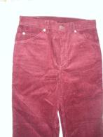 Levis de tapis rouge des années 1970 (jamais porté), Levi's, Enlèvement ou Envoi, Neuf, W30 - W32 (confection 38/40)