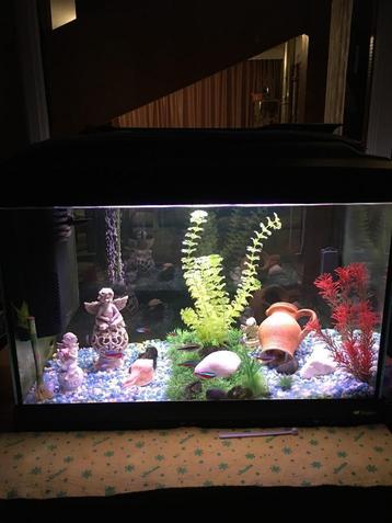 aquarium