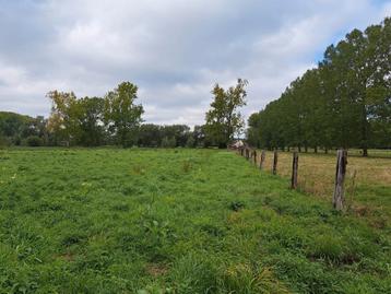weide / landbouwgrond te koop in Lot / Sint pieters Leeuw  beschikbaar voor biedingen