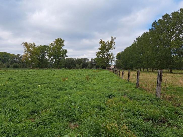 weide / landbouwgrond te koop in Lot / Sint pieters Leeuw, Immo, Gronden en Bouwgronden