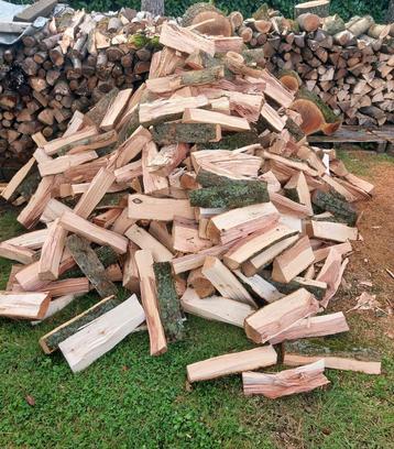 Bois de chauffage sec  beschikbaar voor biedingen