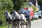 2span welch 143 en 146, Dieren en Toebehoren, Tuigpony