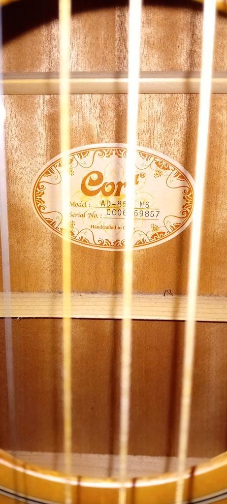 Cort AD850 akoustische gitaar, Muziek en Instrumenten, Snaarinstrumenten | Gitaren | Akoestisch, Zo goed als nieuw, Western- of Steelstringgitaar