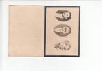 40-45: drie gefusilleerden te Ertvelde-Rieme anno 1942, Verzamelen, Bidprentjes en Rouwkaarten, Bidprentje, Ophalen of Verzenden
