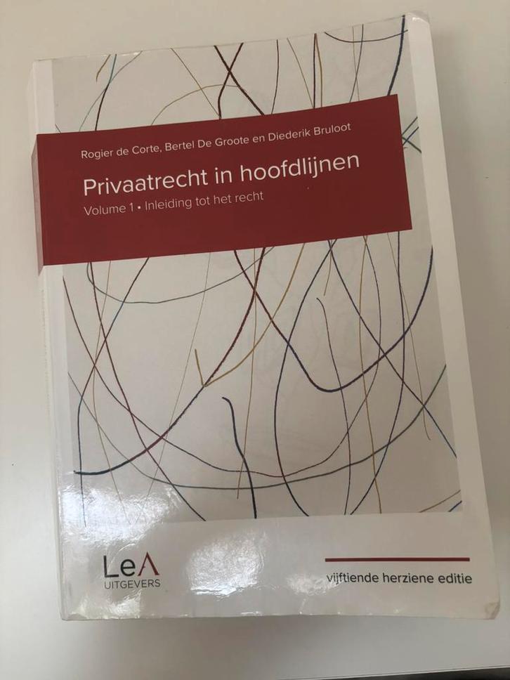 Rogier de Corte - Privaatrecht in hoofdlijnen 15de editie, Boeken, Wetenschap, Gelezen, Ophalen of Verzenden