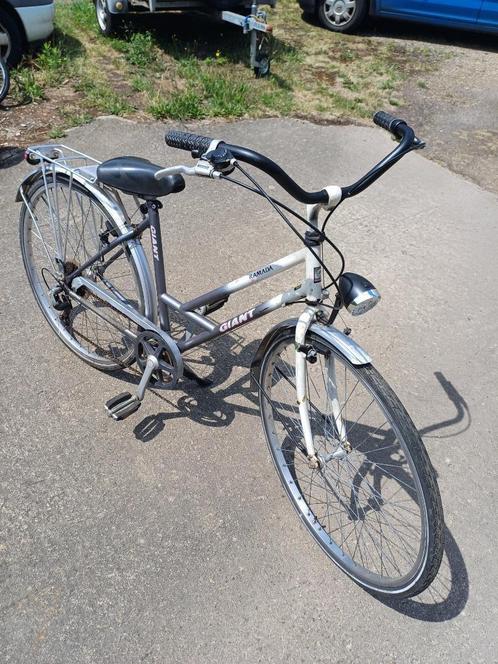 Damesfiets Giant, Fietsen en Brommers, Fietsen | Dames | Damesfietsen, Gebruikt, Giant, Versnellingen, 47 tot 50 cm, Ophalen