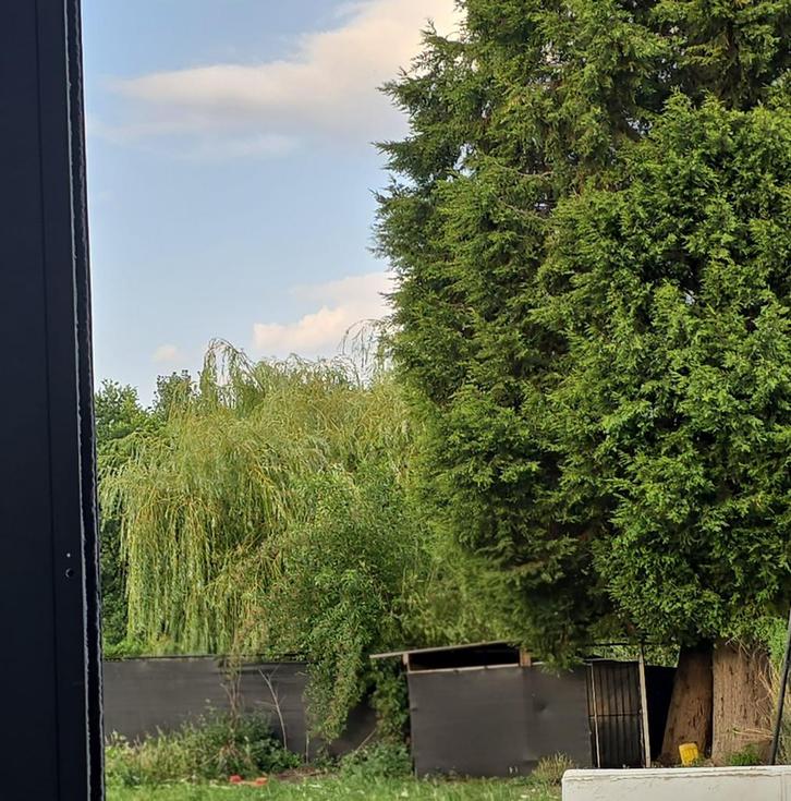 Hondenhok-kennel en eikenhout balken, Dieren en Toebehoren, Hondenhokken, Hondenhok, Ophalen