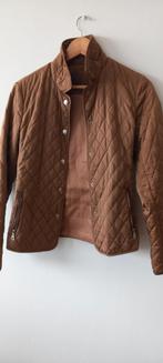 Jas masimmo dutti maat s en medium, Kleding | Dames, Jassen | Zomer, Ophalen, Zo goed als nieuw, Maat 36 (S), Groen