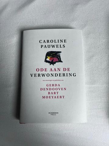 Ode aan de verwondering - Caroline Pauwels beschikbaar voor biedingen