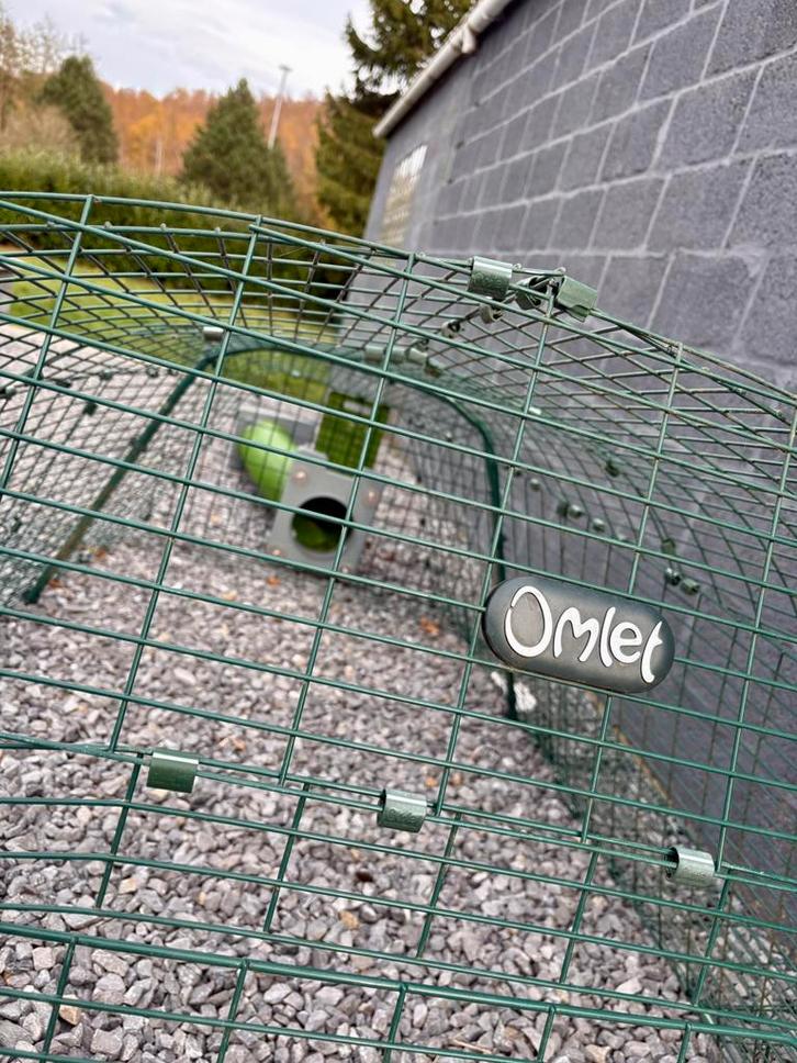 Clapier - poulailler Omlet, Animaux & Accessoires, Autres accessoires pour animaux, Utilisé, Enlèvement