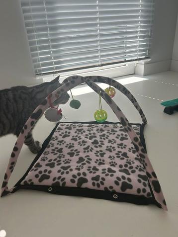 Tapis de jeu pour chats, Enlèvement, Comme neuf, Autres jouets