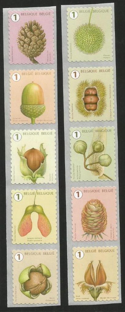 R170 Boomvruchten (Rolzegels 5020/5029 nr. 15 en 20), Postzegels en Munten, Postzegels | Europa | België, 1 plakker, Postfris