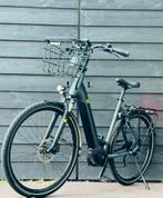 Pegasus Evo CX E-bike | Bosch CX | 500Wh | Slechts 3123 km, Fietsen en Brommers, Zo goed als nieuw, 51 tot 55 cm, 50 km per accu of meer